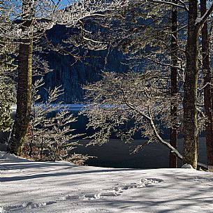 Cave del Predil